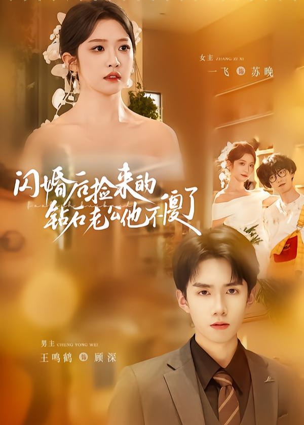 闪婚后捡来的钻石老公他不傻了-现代言情