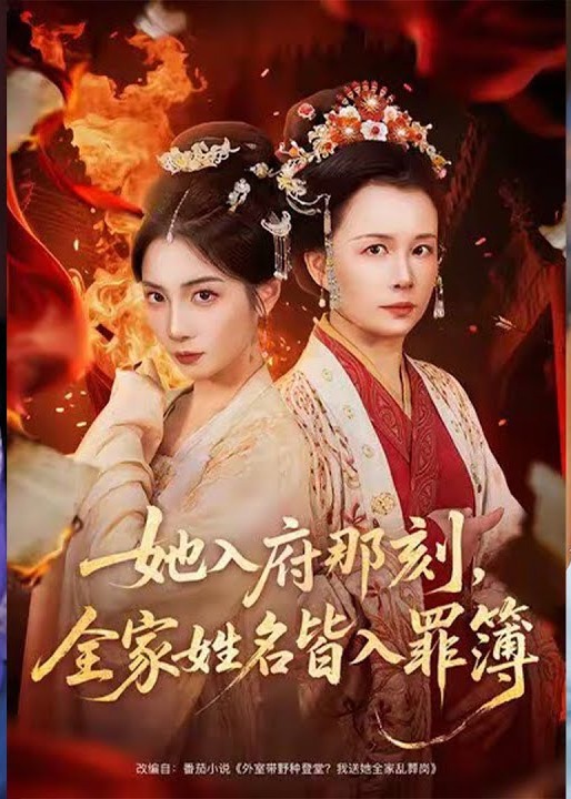 她入府那刻全家姓名皆入罪簿-古代权谋