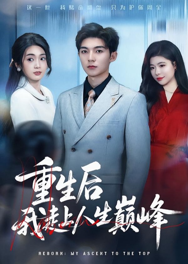 重生后我走上人生巅峰-重生穿越