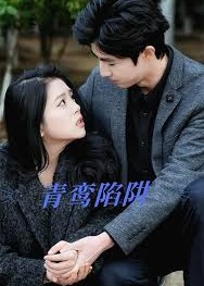 青鸾陷阱-都市言情