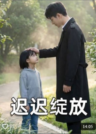 迟迟绽放-家庭情感