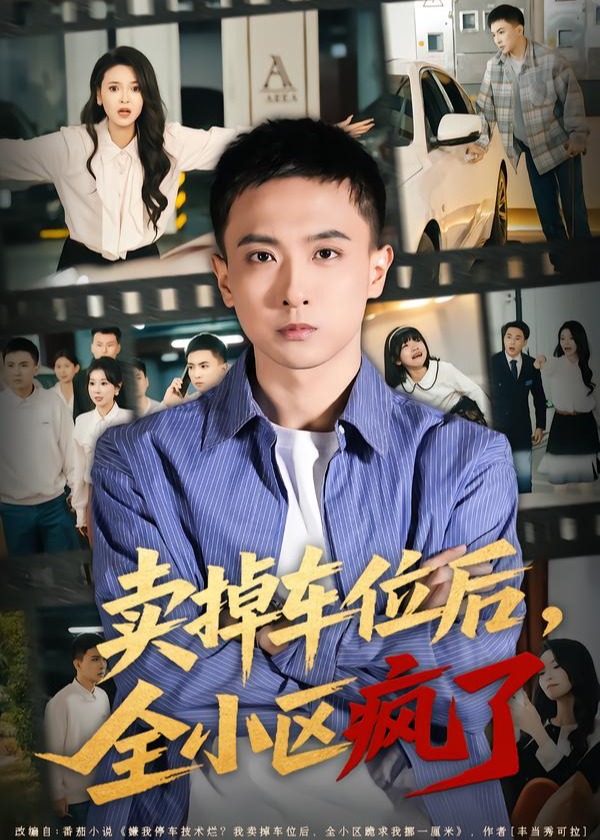 卖掉车位后全小区疯了-都市日常海报