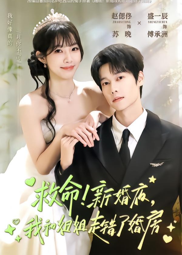 救命新婚夜我和姐姐走错了婚房-都市言情海报