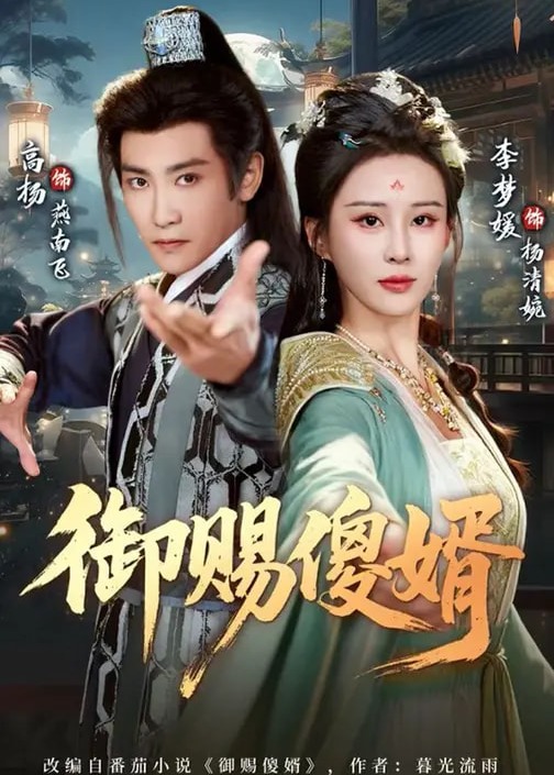 御赐傻婿-古代穿越