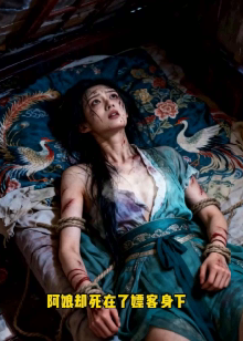 双王夺宠：奴婢上位记&山月照昭昭-动漫合集