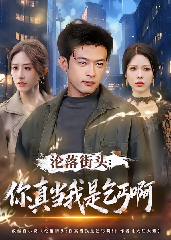 沦落街头你真当我是乞丐啊-都市逆袭