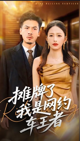 摊牌了我是网约车王者-都市逆袭