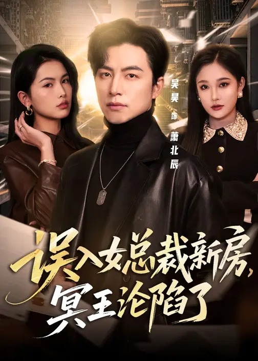 误入女总裁新房冥王沦陷了-都市言情