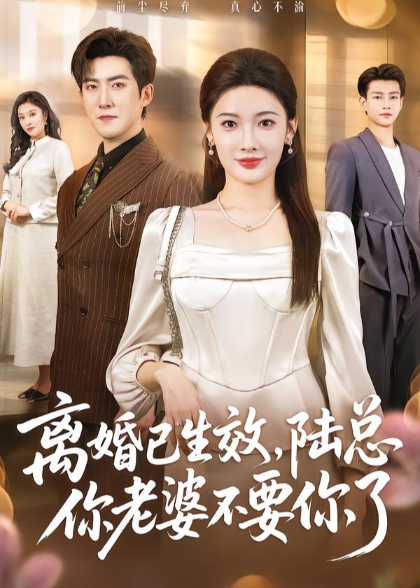 离婚已生效陆总你老婆不要你了-都市情感海报