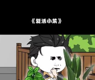 复活小菜-动漫合集