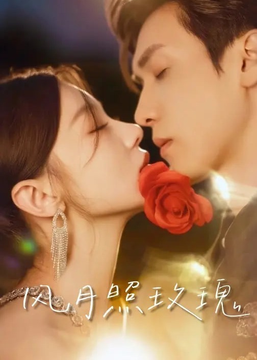 风月照玫瑰-现代甜蜜