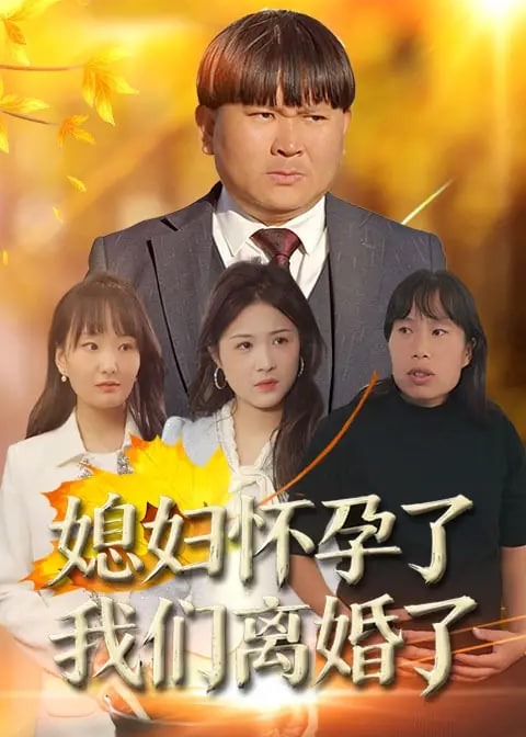 媳妇怀孕了我们离婚了-都市日常