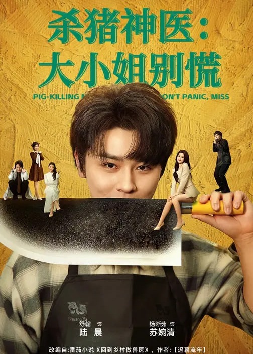 杀猪神医大小姐别慌-奇幻神医