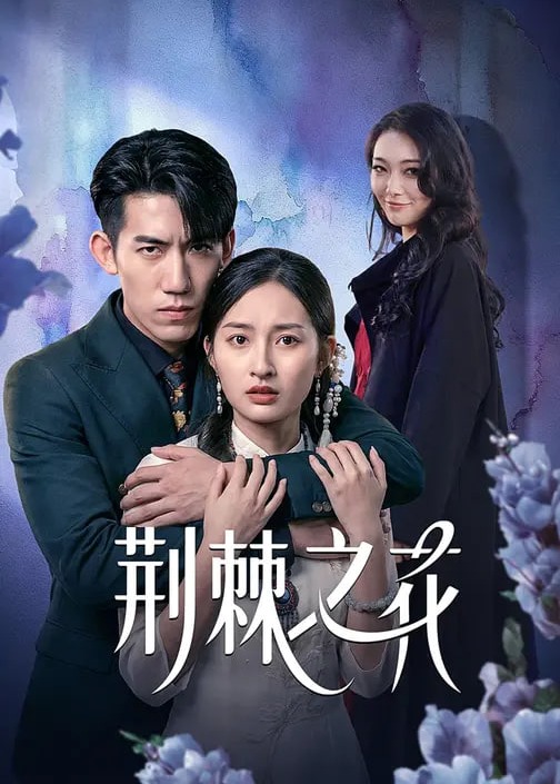 荆棘之花-都市情感