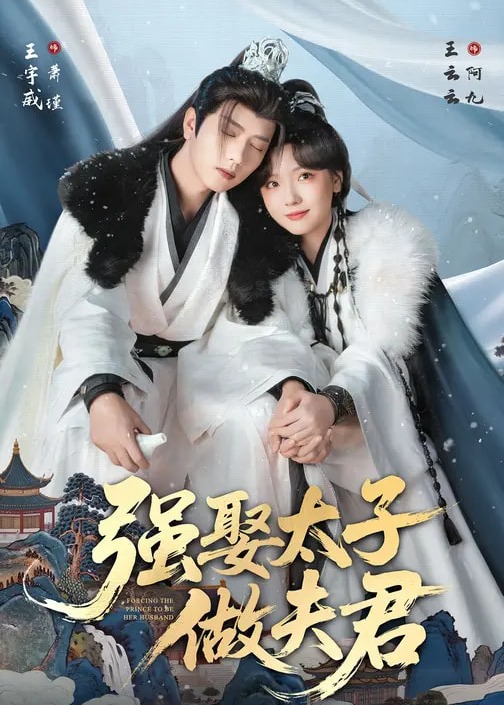 强娶太子做夫君-古风言情