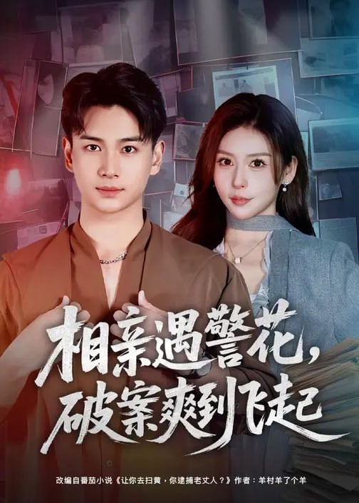 相亲遇警花破案爽到飞起-都市言情