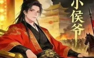 极品小侯-动画合集