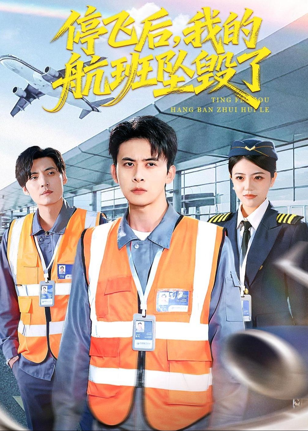 停飞后我的航班坠毁了-都市悬疑海报