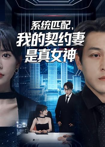 系统匹配我的契约妻是真女神-奇幻言情