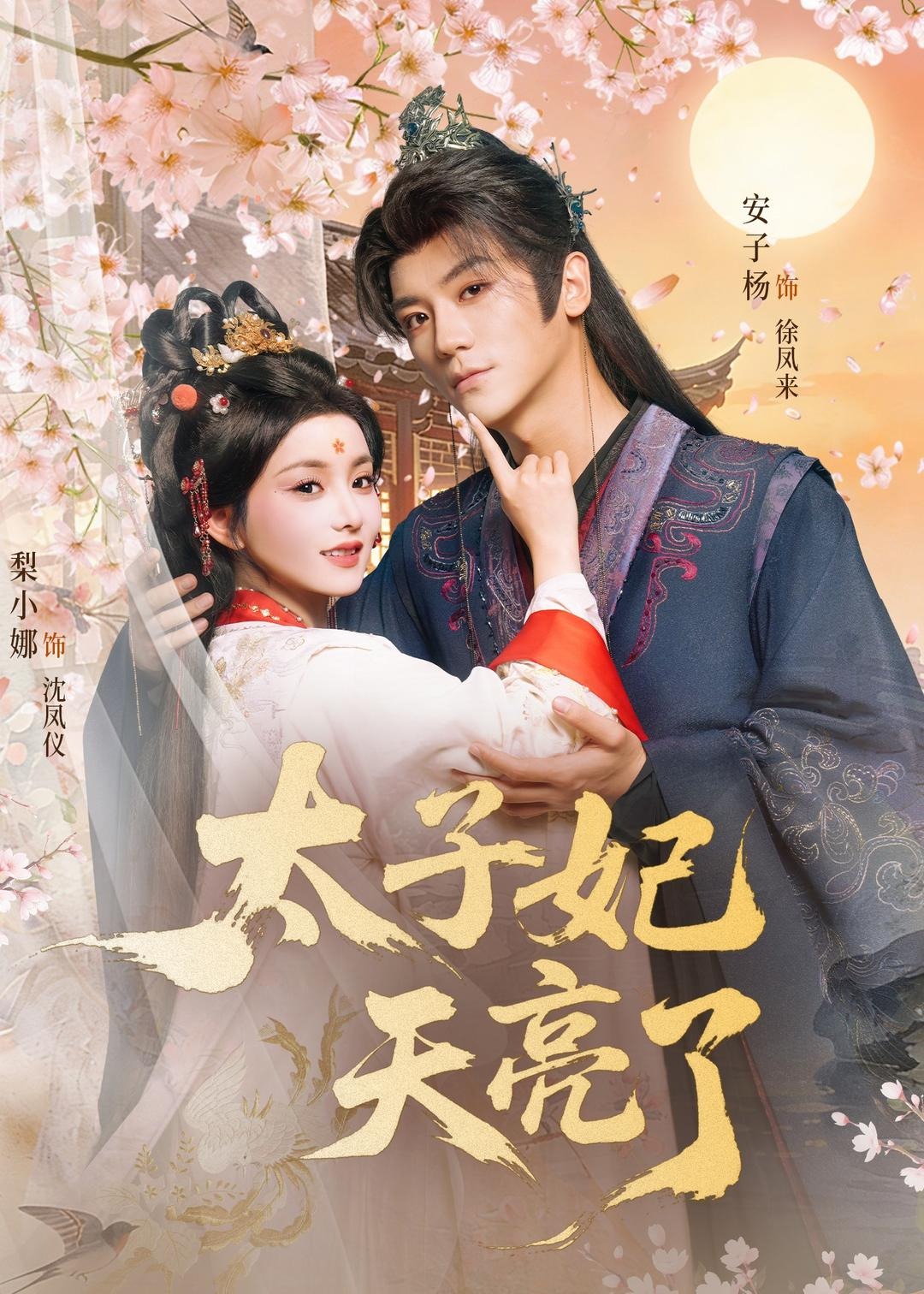 太子妃天亮了-古代言情