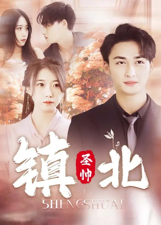 镇北圣帅-现代言情