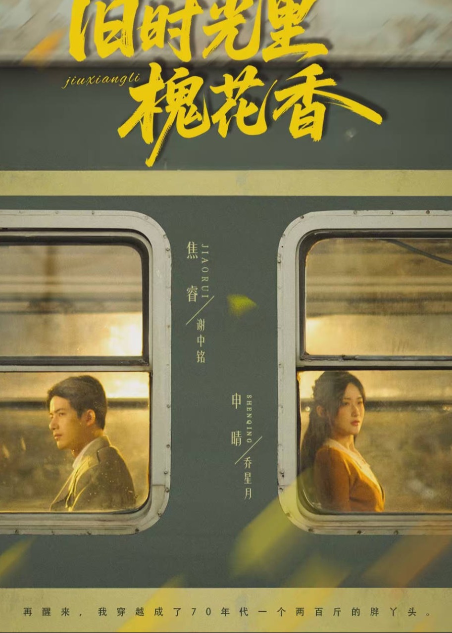 旧时光里槐花香-现代穿越