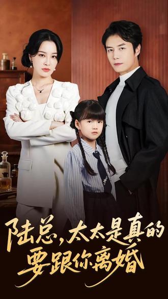 陆总夫人她只想离婚-都市言情海报
