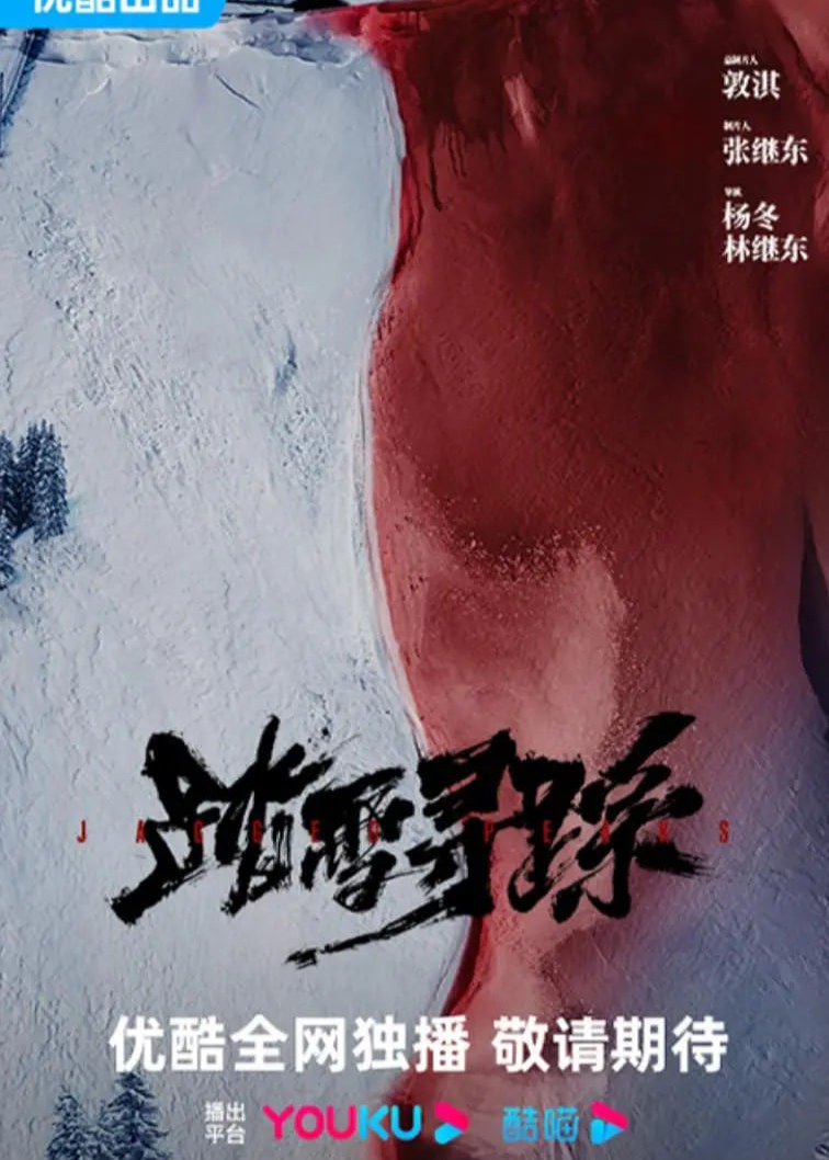 踏雪寻踪海报
