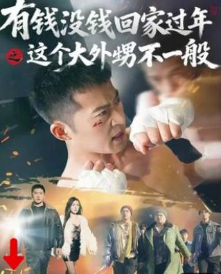 有钱没钱回家过年之这个大外甥不一般-家庭情感海报
