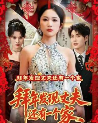 拜年发现丈夫还有一个家-都市言情海报