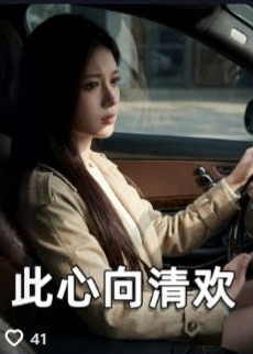 此心向清欢-动漫合集