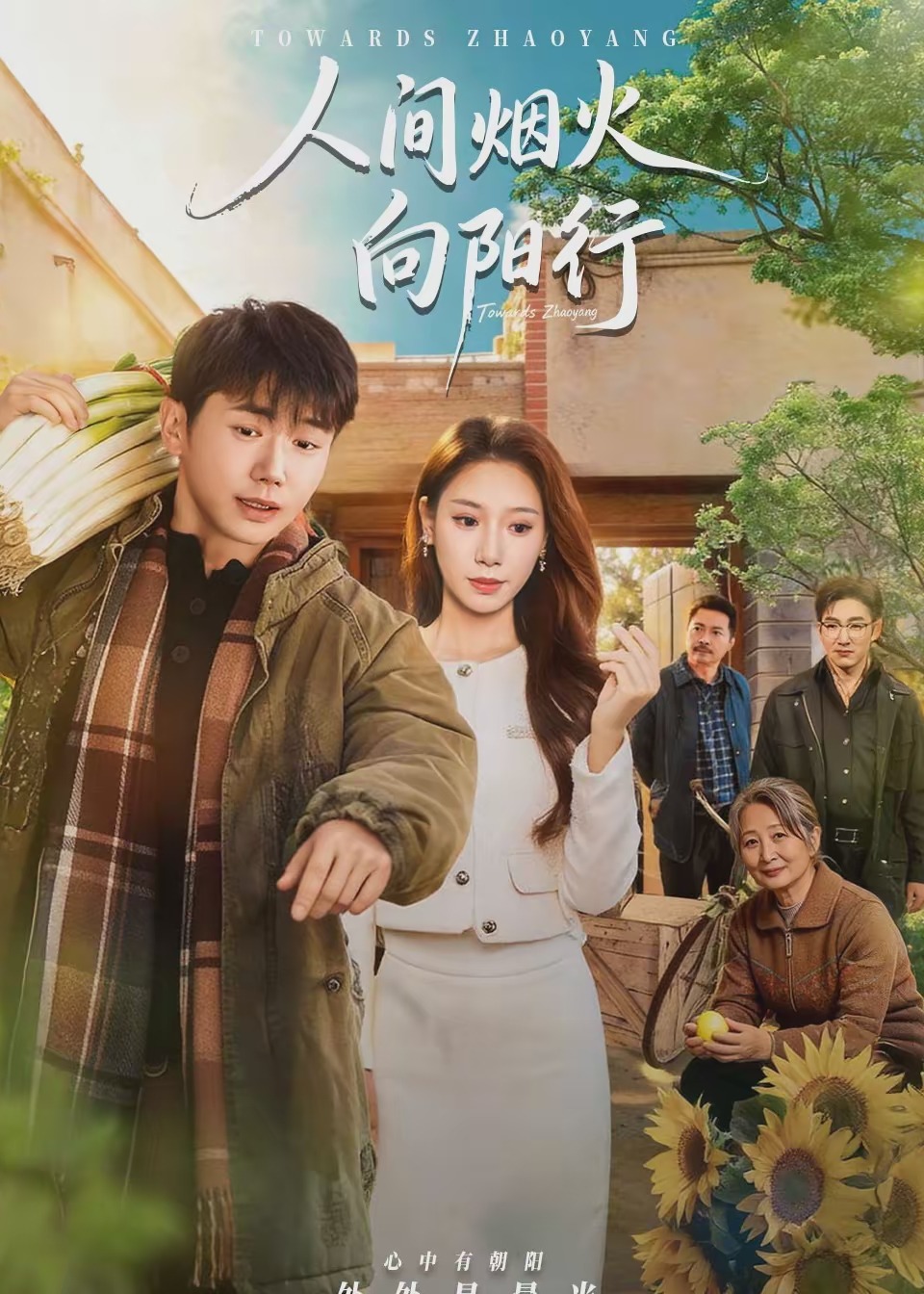 人间烟火向阳行-家庭情感海报