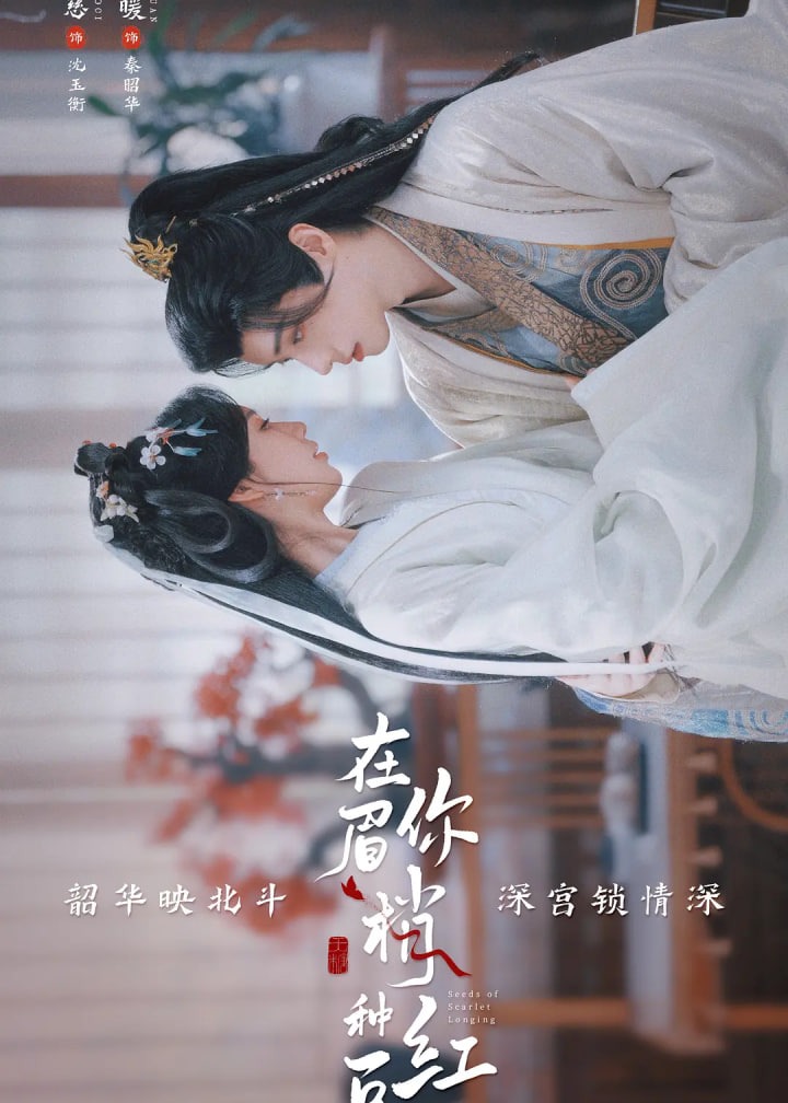 在你眉梢种红豆