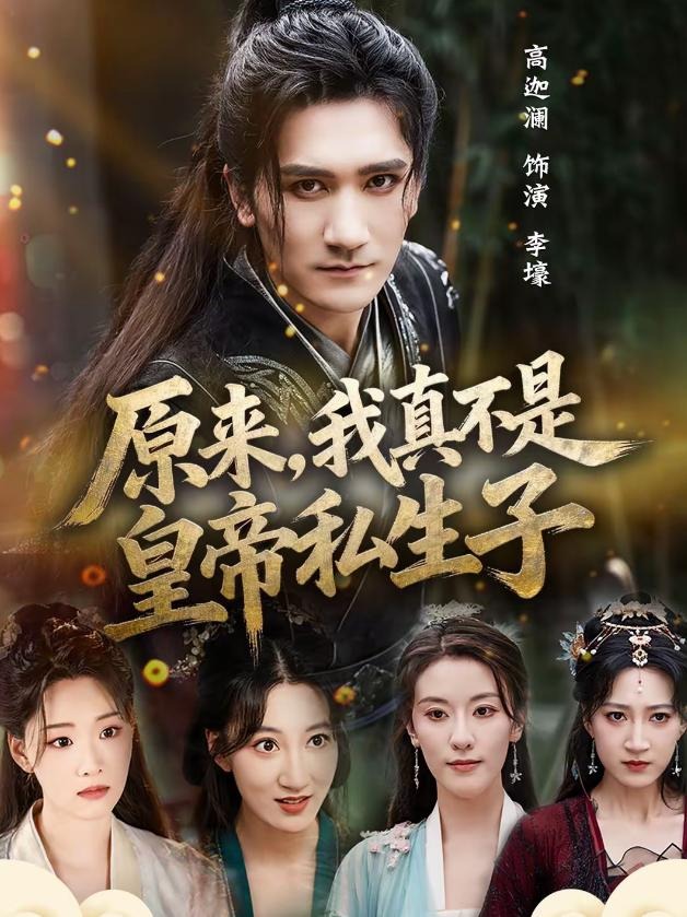 原来我真不是皇帝私生子-古代穿越海报