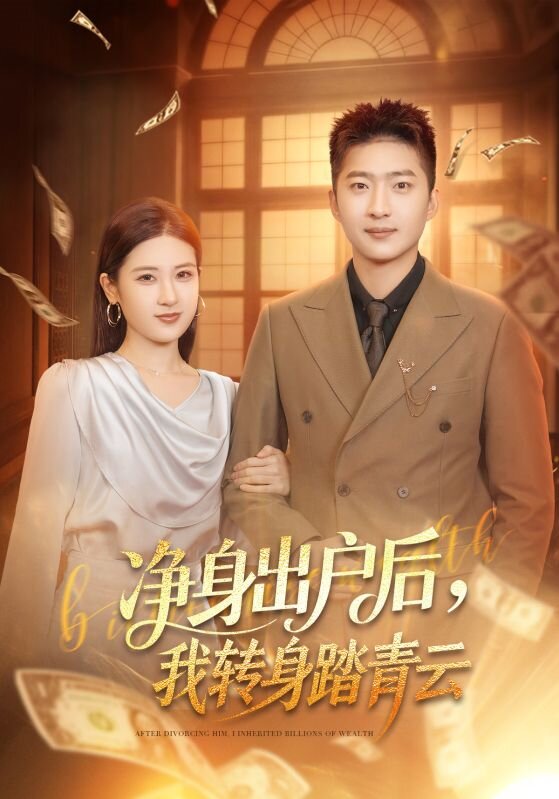 净身出户后我转身踏青云-都市言情海报