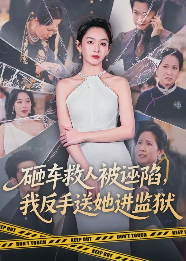 砸车救人被诬陷我反手送她进监狱-都市日常海报