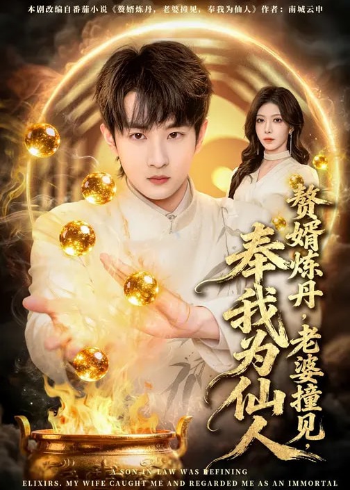 赘婿炼丹老婆撞见奉我为仙人-奇幻仙侠海报