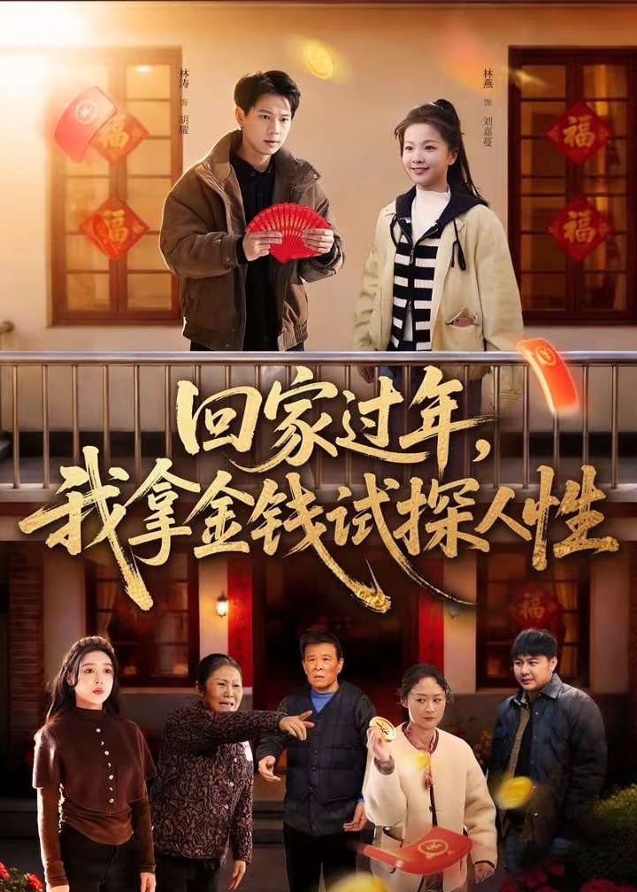 回家过年我拿金钱试探人性-家庭情感海报