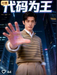 代码为王都市日常