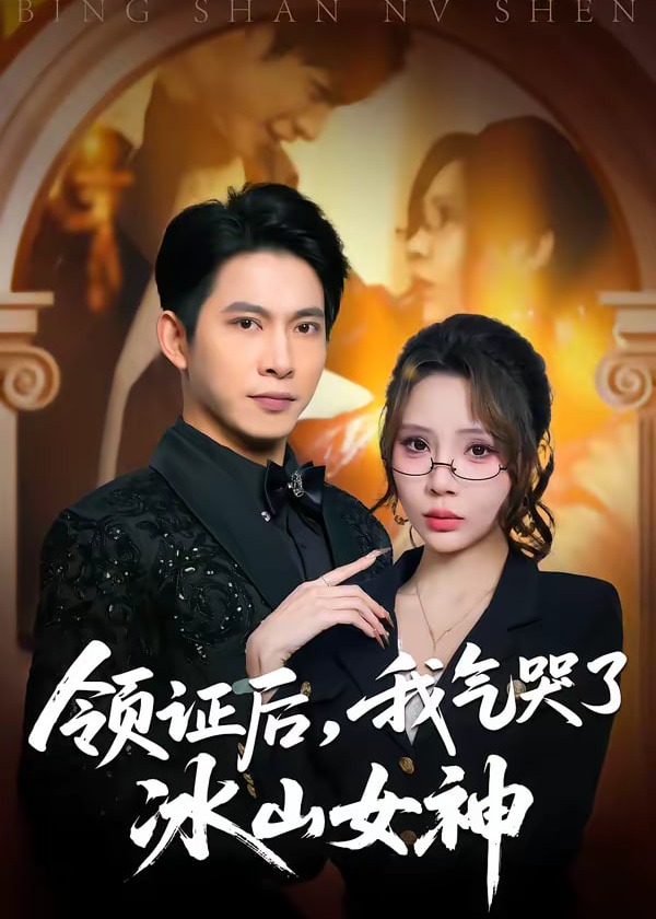 领证后我气哭了冰山女神-都市爱情海报