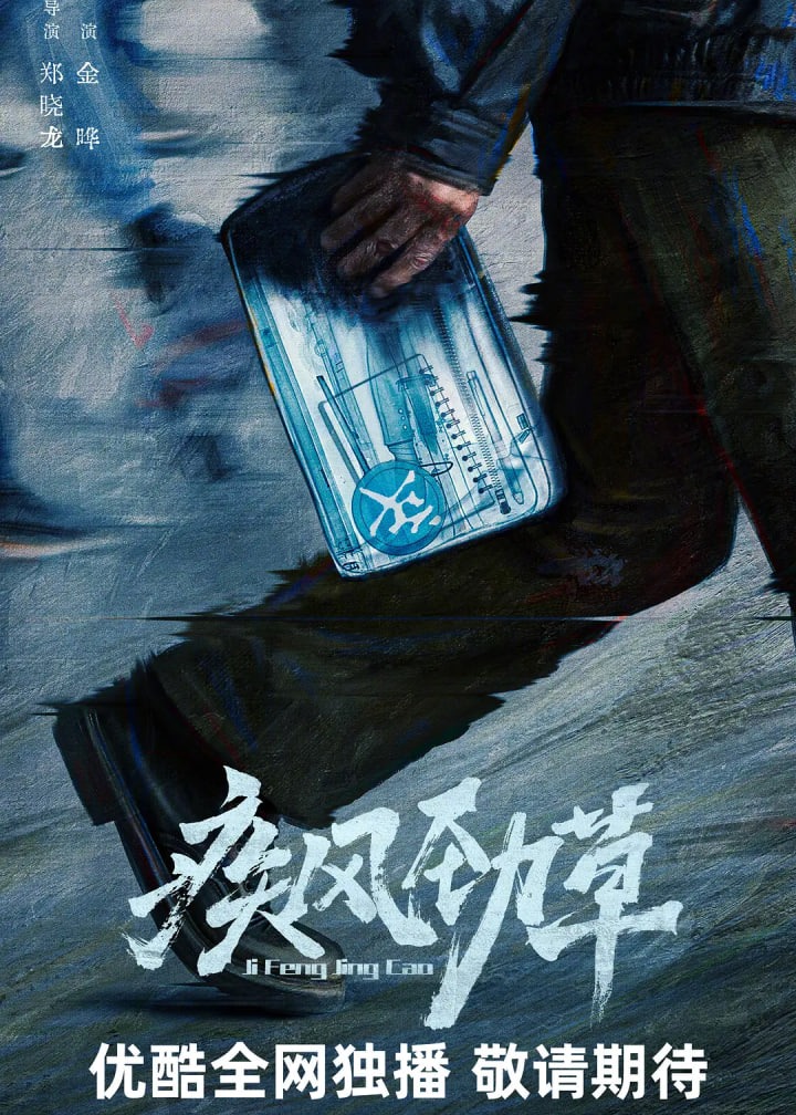 疾风劲草海报