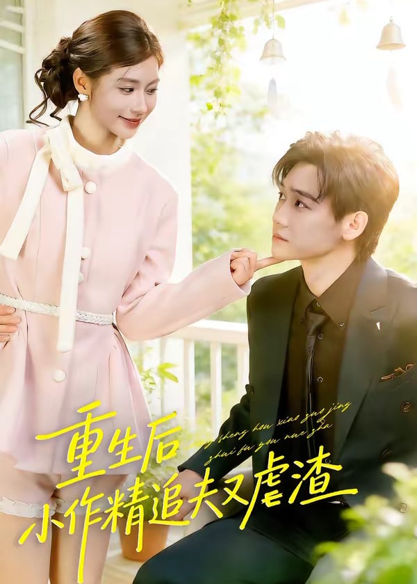 重生后小撩精追夫又虐渣-重生穿越海报