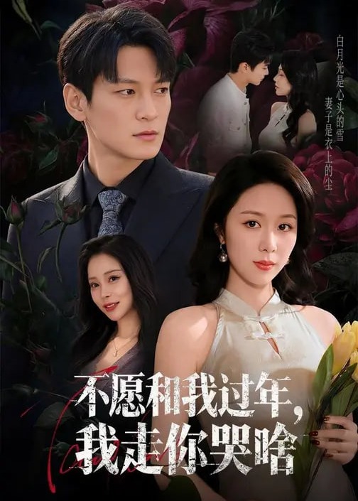 不愿和我过年我走你哭啥-都市情感海报