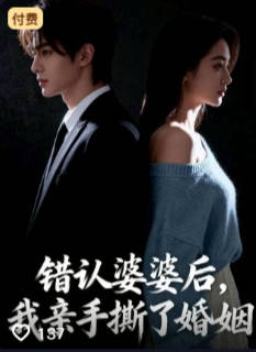 错认婆婆后我亲手撕了婚姻-都市言情海报