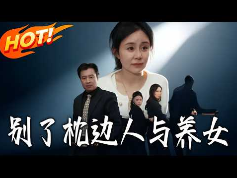 别了枕边人与养女-都市言情海报