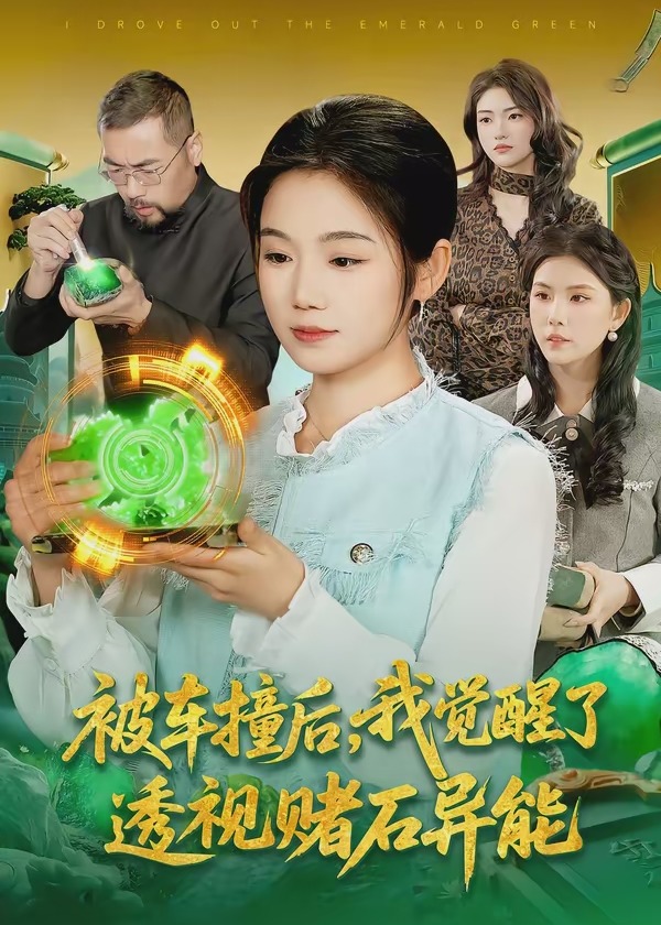 被车撞后我觉醒了透视赌石异能了-奇幻异能