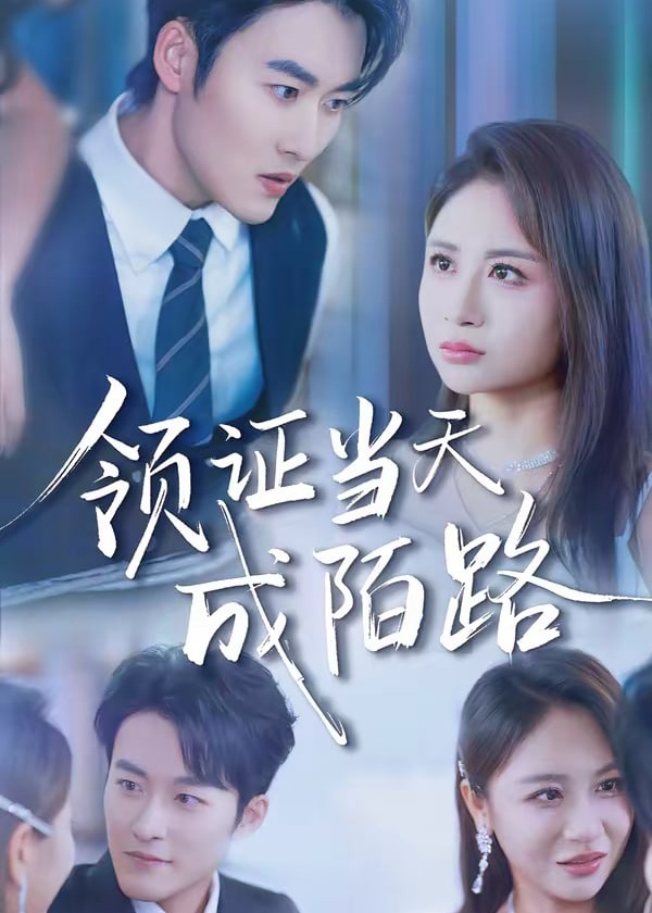 领证当天成陌路-现代言情海报