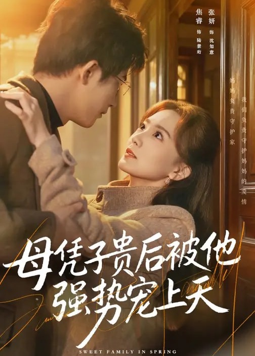 母凭子贵后被他强势宠上天-现代甜蜜海报