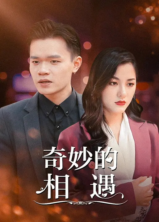 奇妙的相遇-都市言情