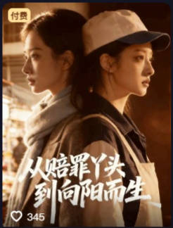 从赔罪丫头到向阳而生-都市逆袭海报